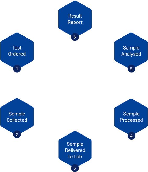 https://truresultslaboratory.com/wp-content/uploads/2020/04/experience_01.png